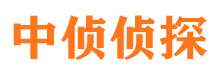 平和外遇调查取证